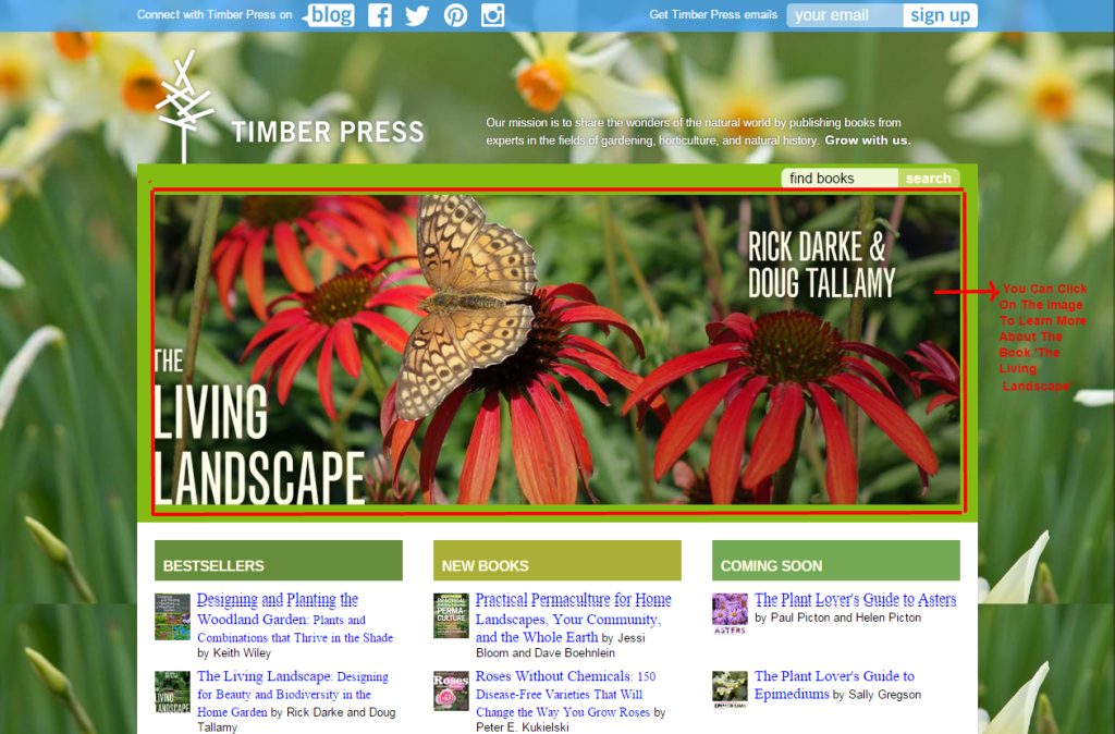 Timber Press  website design