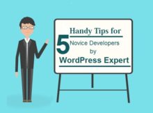 Tips for WordPress Developer