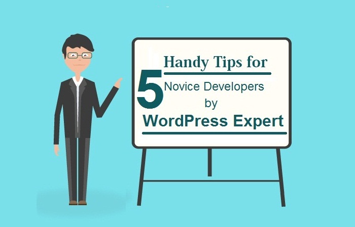 Tips for WordPress Developer