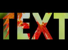 Best Online Text Editors