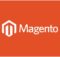 Magento Development