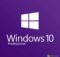 Windows 10 Pro OEM