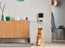 gadget and app for pets