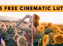 free cinematic luts